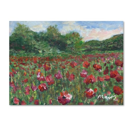 Manor Shadian 'Poppy Field Wood' Canvas Art,18x24